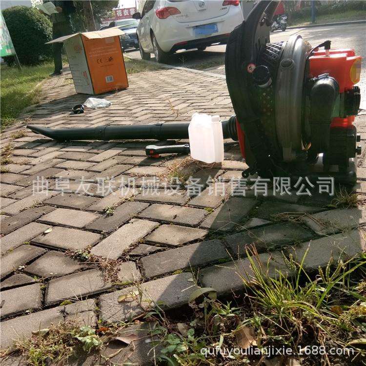环卫树叶石子清理机 江苏小型马路清理机 背负式落叶吹风机