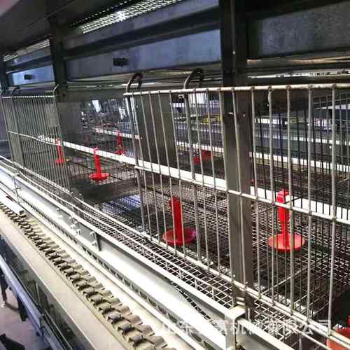 层式养鸡设层备立GUDH型全自动蛋鸡笼四式清粪鸽子笼鹌鹑养殖叠笼