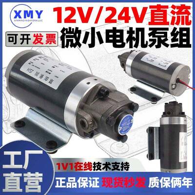 适用小型直流专用电机油泵DC12V/24V 12A13A齿轮油泵电动摆线泵三