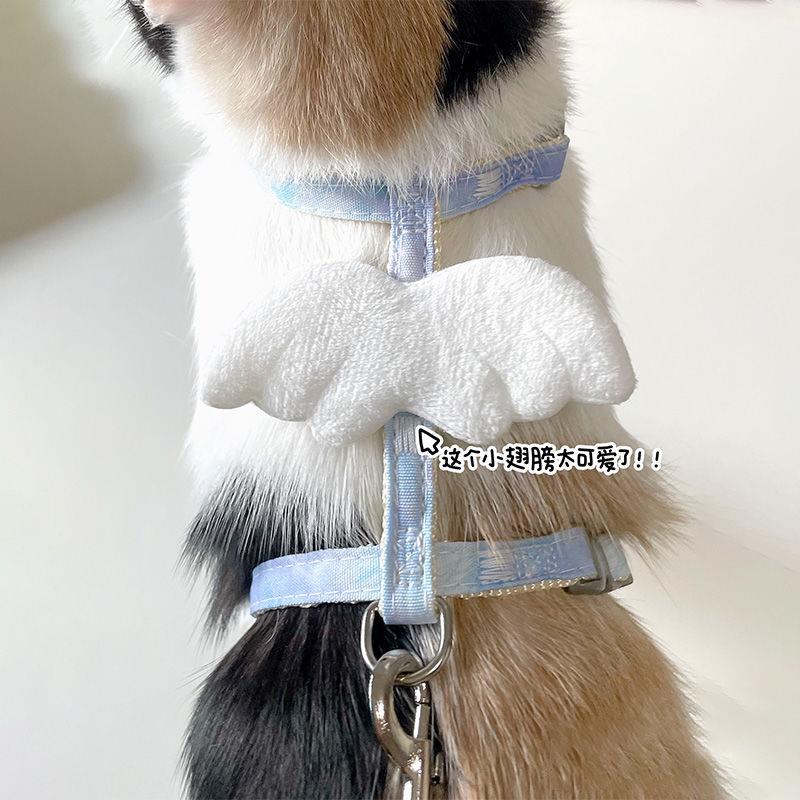 猫咪牵引绳防挣脱外出专用遛猫绳溜猫链子狗狗背带网红小猫猫绳子