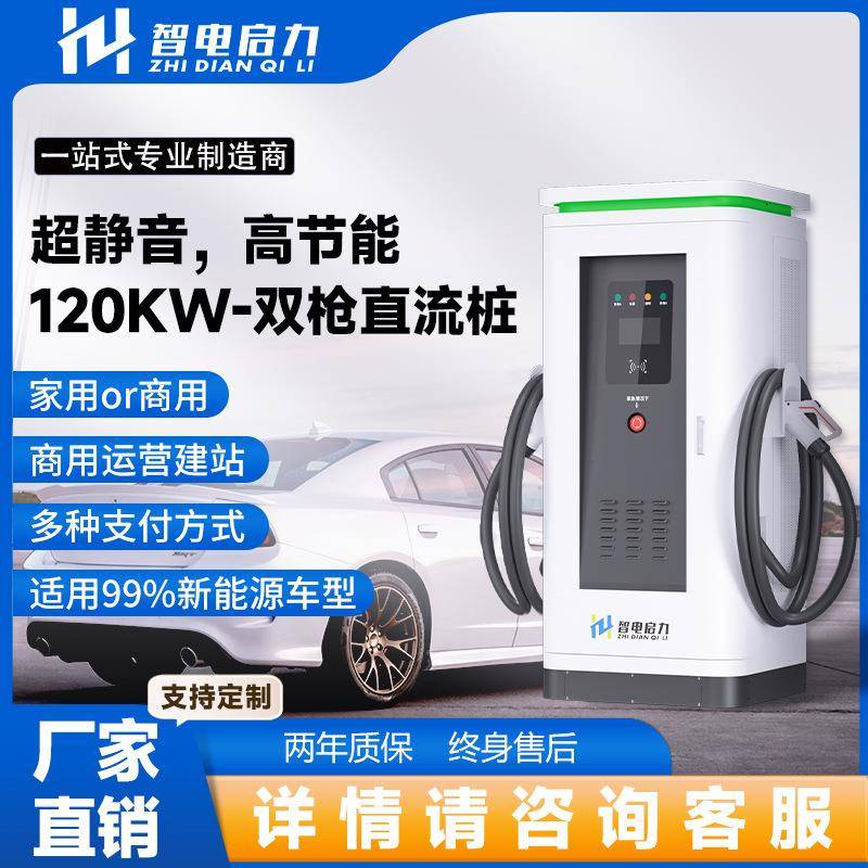 启力商用直流电车充电桩80/120/320/480kw双枪运营建站新能源