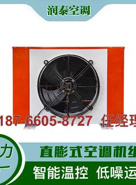 润泰分体式净化空调机组室外机各种规格无尘车间装修医药厂