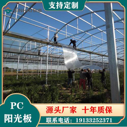 阳光板pc透明中空双层四层聚碳酸酯板户外顶棚温室大棚车棚采光板