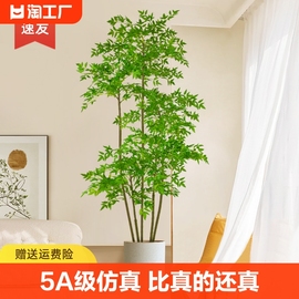 仿真植物南天竹落地盆栽室内大型仿生绿植摆件客厅，轻奢装饰花假树