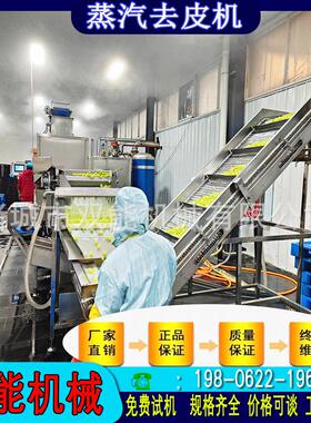鲜果葡萄蒸汽去皮设备智能控温 全自动作业黄桃头规模化加工流