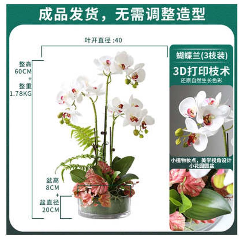 【玄关套摆放花卉可手感pu】花装假门店盆栽代发 蝴蝶兰客厅