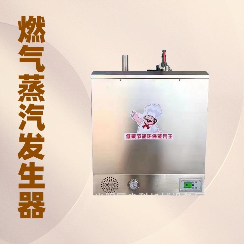 （优性产品热销）煤气天然气挂壁式蒸汽发生器代替锅炉