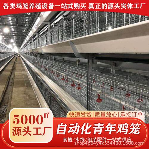 自动青年鸡笼立式自动化养殖设养殖场养鸡场养鸡笼鸽子笼鹌鹑笼