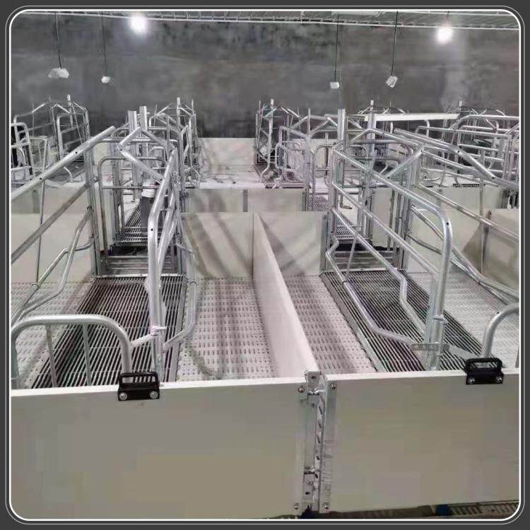欧式母猪产床 热镀锌猪用单体分娩床 PVC围栏产床厂家供应