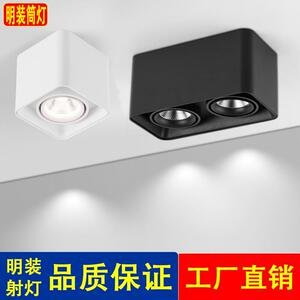 无主灯明装射灯双头筒灯led天花灯家用客厅三色变光智能调光调色
