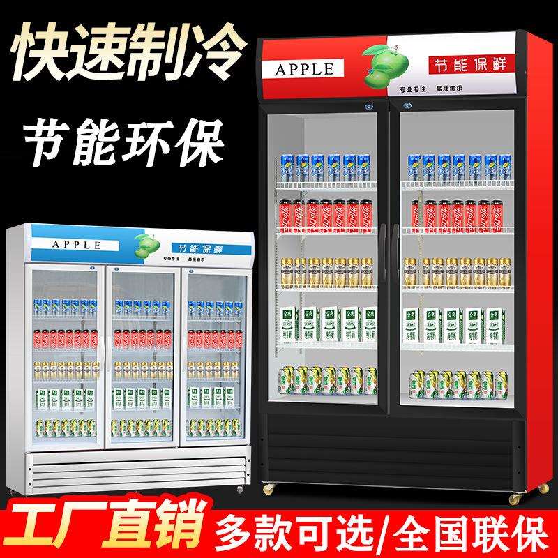双门风冷饮料柜啤酒柜双开门展示柜保鲜冷藏柜串串冷饮冰柜超市