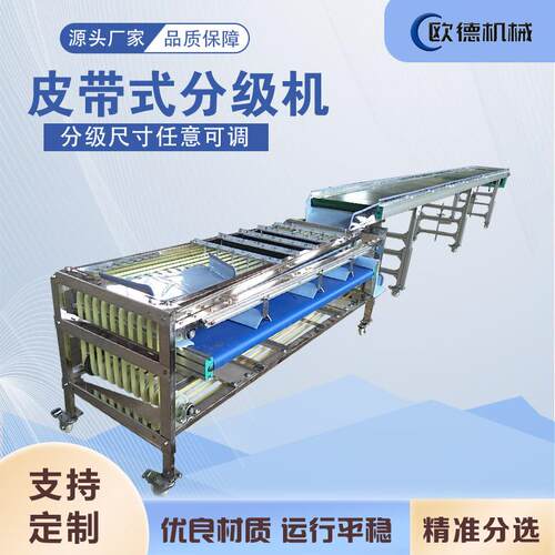 西梅选果机皮筋式直径分选小水果圣女果适用软包不伤果不掉粉