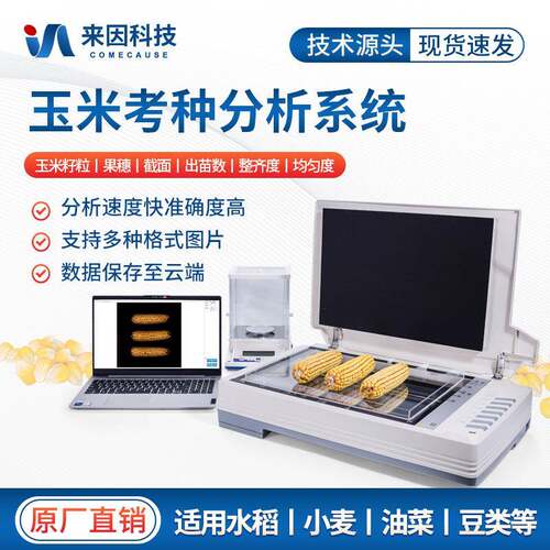 玉米考种仪粮食谷物分析系统千粒重检测高智能玉米整穗截面分析仪