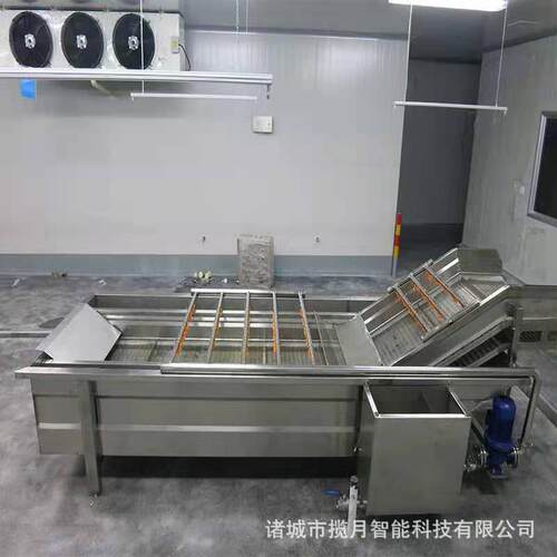 毛桃气泡清洗机 商用蔬菜清洗流水线 净菜加工设备 中央厨房洗菜