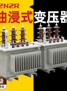 三相11kv高压变压器20kv铜33kv50Hz铝100kva160kw400油工业变压器