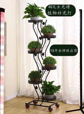 多肉植物生长补光灯全光谱40瓦LED 2G11上色三脚支架零浪费植物灯