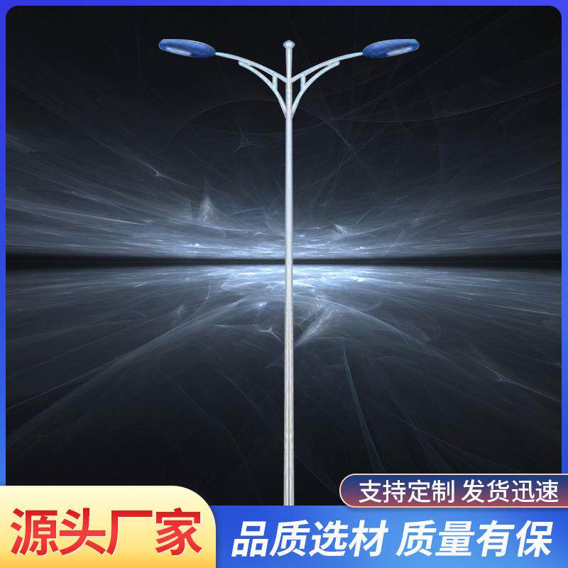 6米8米10米12米15米防水超亮新农村户外灯道路灯LED路灯杆单双头