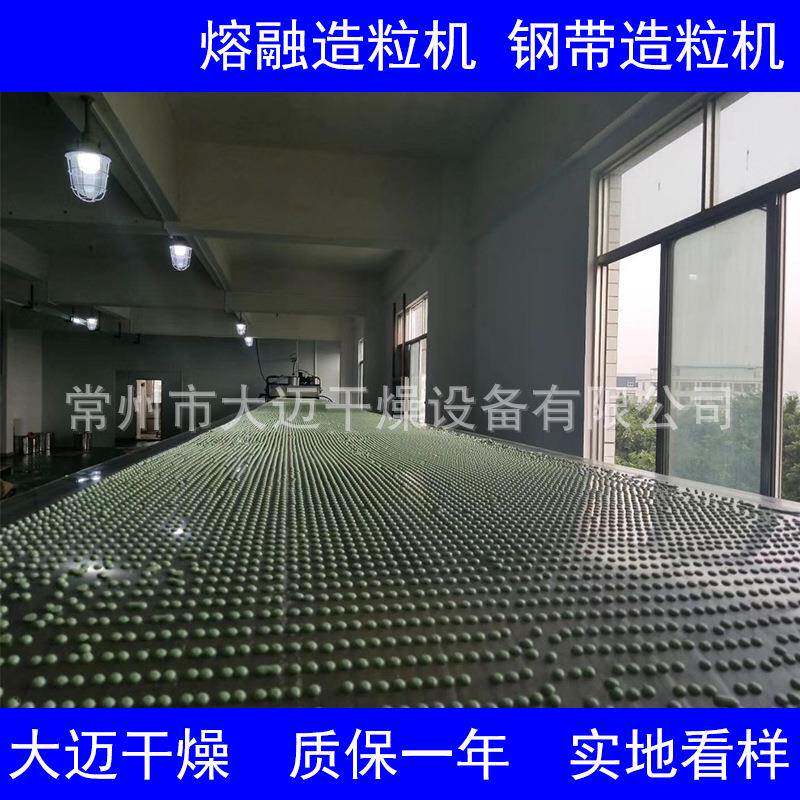 聚氨耐磨橡胶硫化剂 带式冷凝粒机 R熔L酯造融RL60-A造粒机 成型