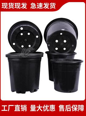 塑料花盆黑色桶基地种植多肉盆育苗盆加仑盆家用大AB型圆反边花盆