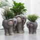 大型创意大象花盆摆件室内客厅别墅庭院门口商场大厅落地绿植花器