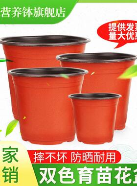 双色育苗盆一次性花盆红黑塑料摔不坏多肉种植盆加厚营养钵育苗杯