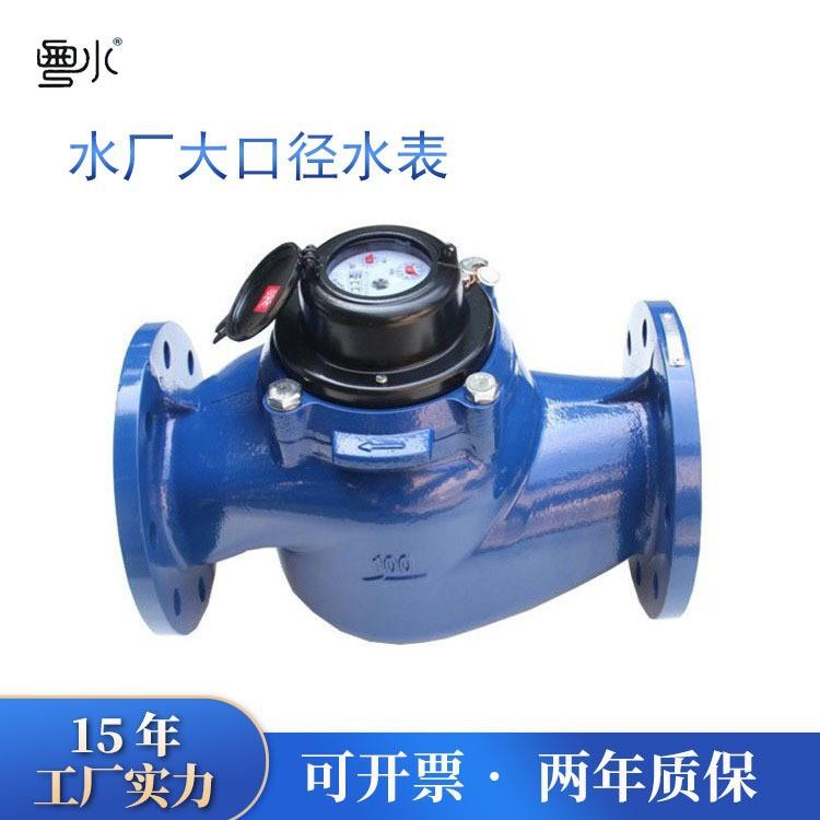 WS垂直水表3寸4寸6寸8寸干式可拆法兰水厂工程大口径数字铁冷水表