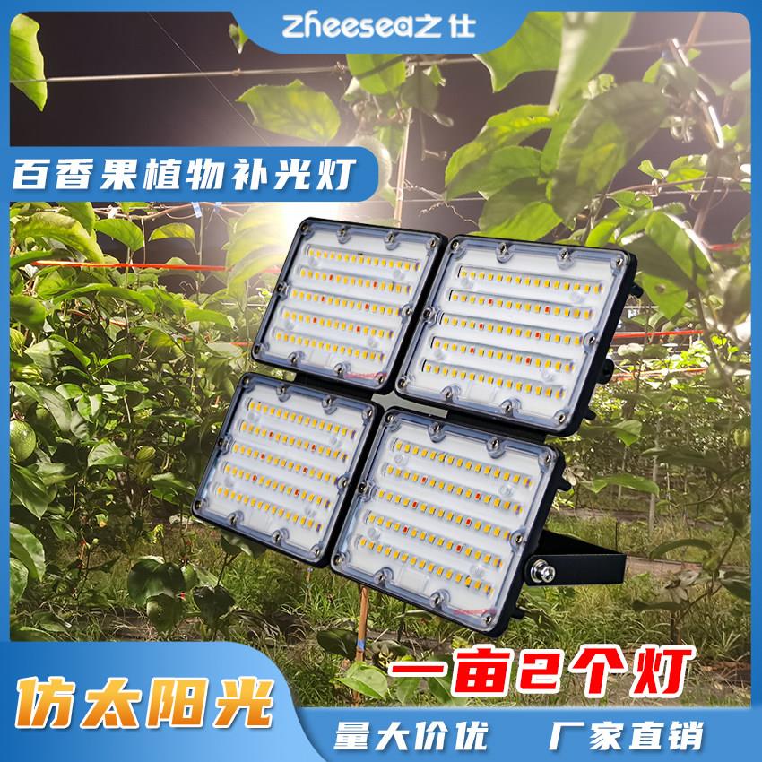 百香果青枣补光灯全光谱LED植物生长灯大棚农场提前上市催熟防雨