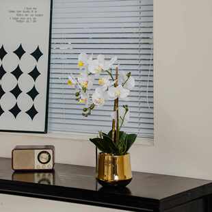 蝴蝶兰盆栽仿真花兰花单朵带盆花头带苞桌面陶瓷花盆假花头懒人盆