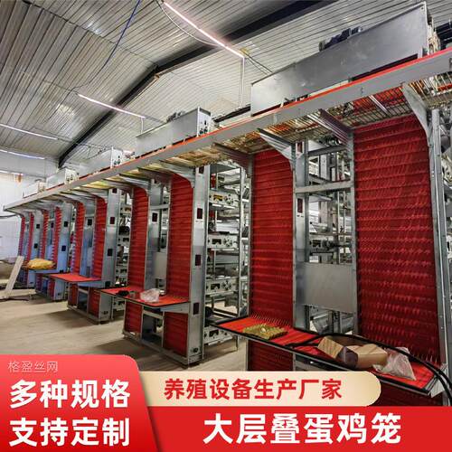 厂家热镀锌大层叠蛋鸡笼集蛋清粪一体全自动养殖设备肉鸡笼
