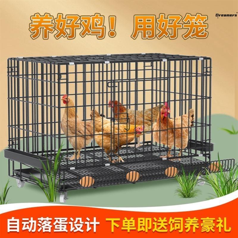鸡笼子大号特大养殖笼自动清粪鸡舍家用家庭鸡笼多层鸡笼鸭笼厂家