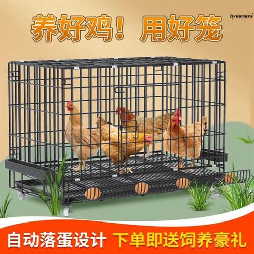 鸡笼子大号特大养殖笼自动清粪鸡舍家用家庭鸡笼多层鸡笼鸭笼厂家