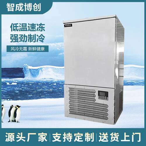 厨房冷冻柜商用急冻冰柜低温小型速冻柜海鲜包子铜管插盘风冷冰柜
