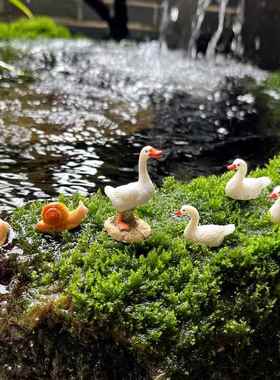 小鸭子微景观摆件仿真动物防水防晒古法养鱼水缸造景盆景装饰摆件