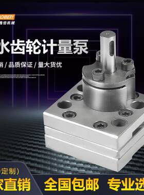 齿轮泵胶水 计量泵 聚氨酯泵PU发泡机热熔胶机环氧树脂点胶机小型