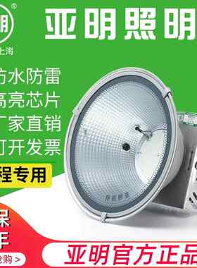 上海亚明led塔吊灯1000w2000w建筑之星工地用照明灯户外防水镝灯