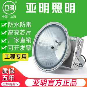 上海亚明led塔吊灯1000w2000w建筑之星工地用照明灯户外防水镝灯