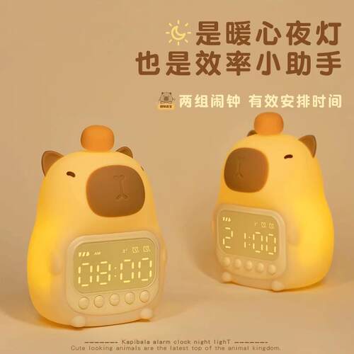 皮巴拉小卡皮巴拉夜灯生日礼物男女生送闺蜜生女感友朋友的实用高