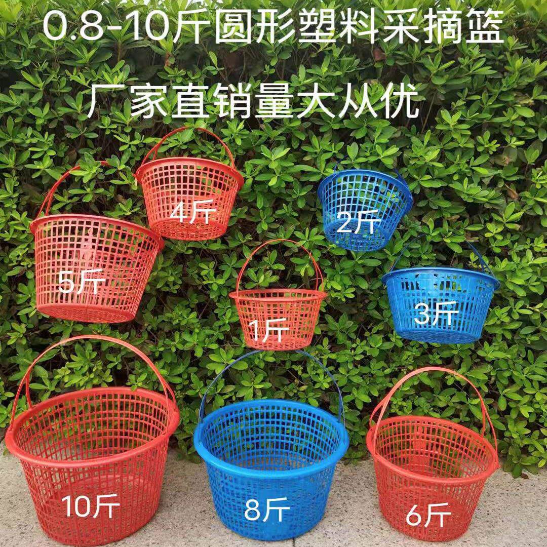 0.8斤-10斤圆形水果篮杨梅篮草莓篮鸡蛋篮手提采摘篮全国快递包邮