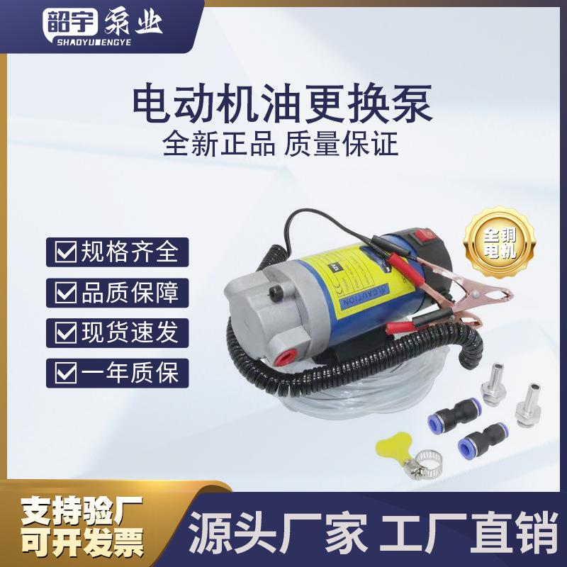 汽车机油电动抽油泵12V机油抽油泵小型便携式齿轮油机油变速箱油