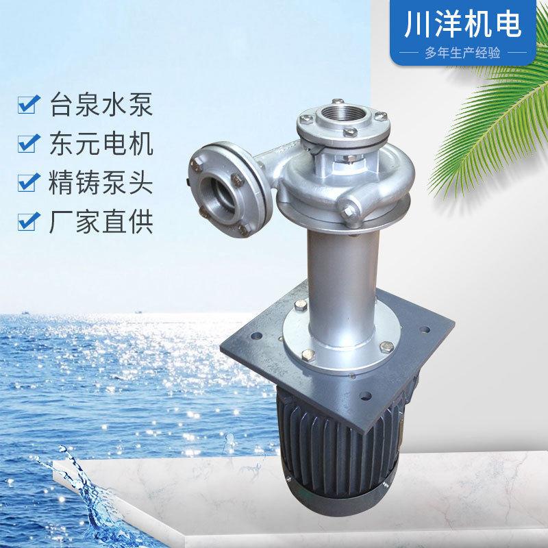 台泉牌不锈钢立式槽内外液下循环泵 东元电机 0.37-30KW DN25-150