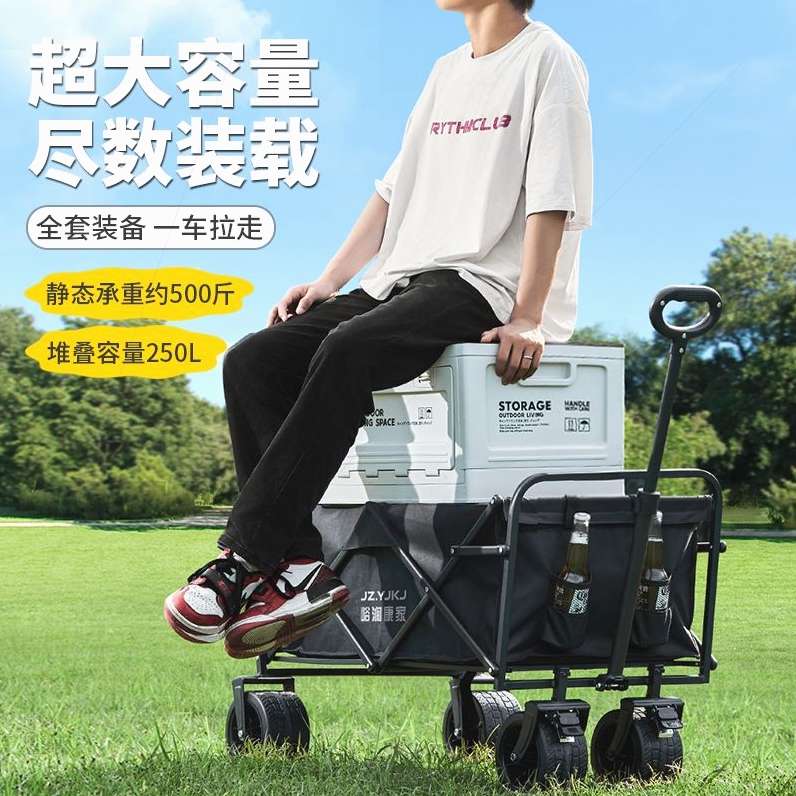 快递童买菜可车工具车野营户外购物露营容车儿小推车玛折叠搬运躺