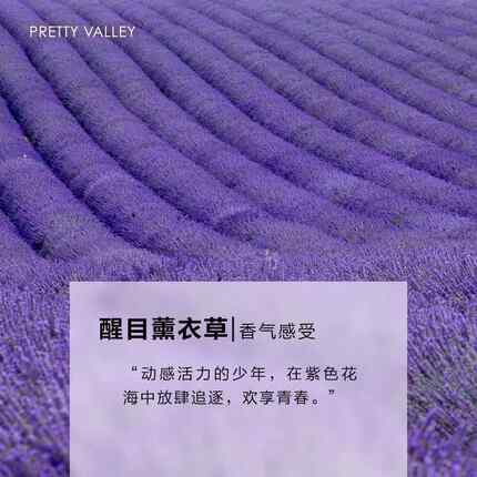 高档汇美助舍醒目薰衣精油然5ml天植物香薰睡眠眠安草眠去痘印