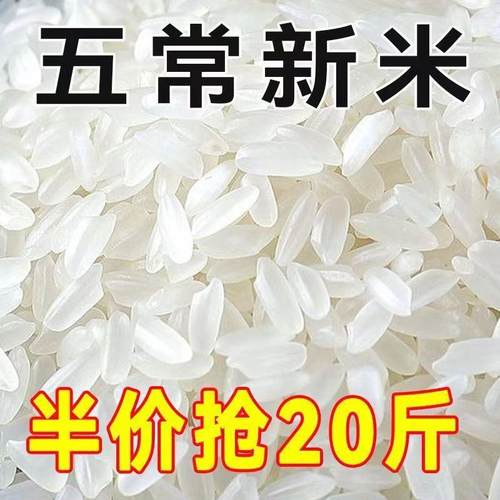 正宗五常稻香米2025年新米五常大米10斤20斤特级东北大米好吃不贵