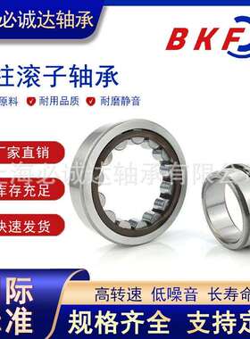 BKF圆柱滚子轴承N NJ NU NF NUP232 234 236 240 332 334 336 EM