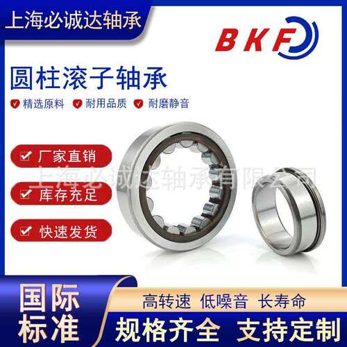 BKF圆柱滚子轴承N NJ NU NF NUP1017 1018 1019 1020 1021 1022EM