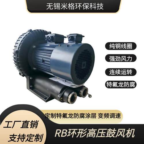 RB高压环形鼓风机抽真空旋涡特氟龙防腐涂层防爆变频5.5KW气泵