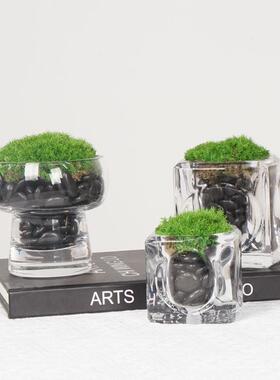 现代新中式永生苔藓景售楼处洽谈桌茶几花艺样板房书房床头柜装饰