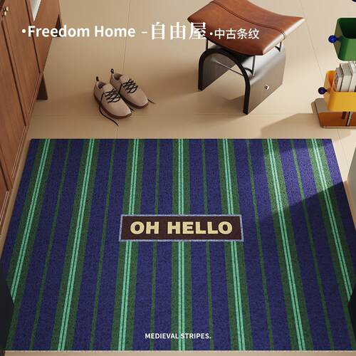 中古条纹丝圈门口地垫百搭耐脏入户门玄关防滑家用除尘高级可裁剪