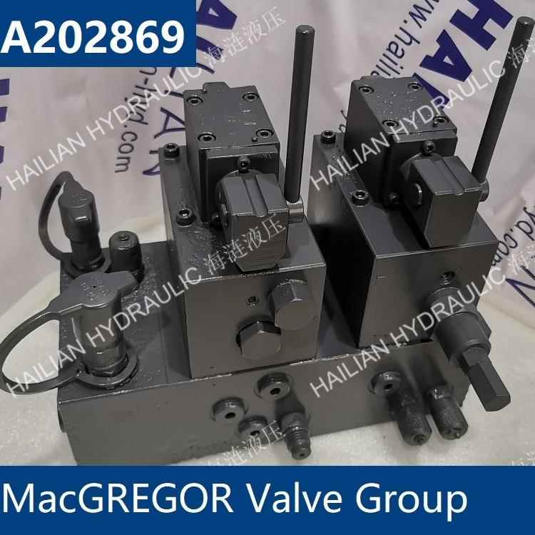 MACGREGOR Valve Group A202869麦基嘉舱盖阀组液压备件shipspare