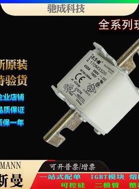 巴斯曼170M3329 170M3358 170M3359 大量现货厂价销售 特种保险丝